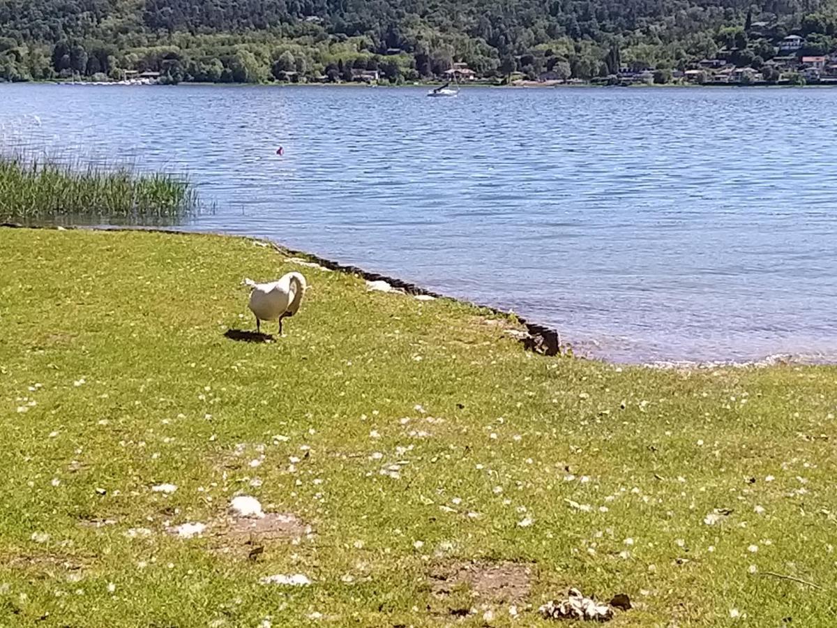 Ritratto Sul Lago Dormelletto Luaran gambar